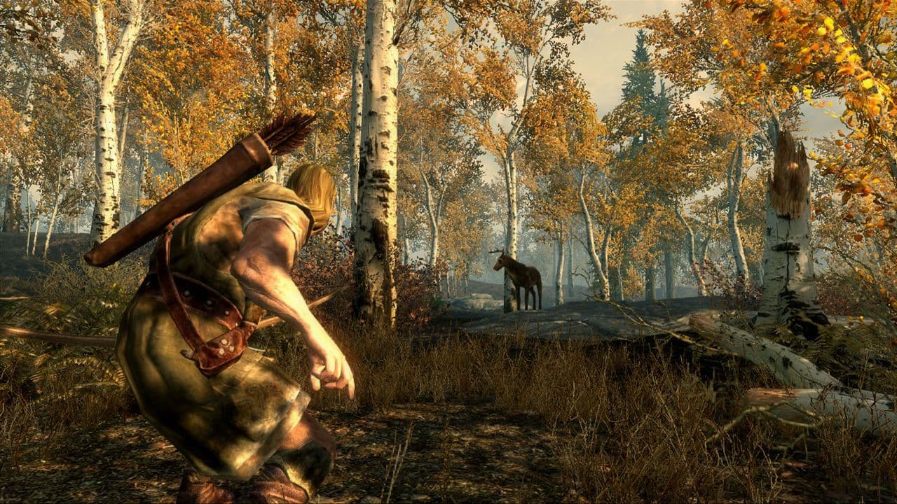 1748479760306-gallery-image-1.jpeg