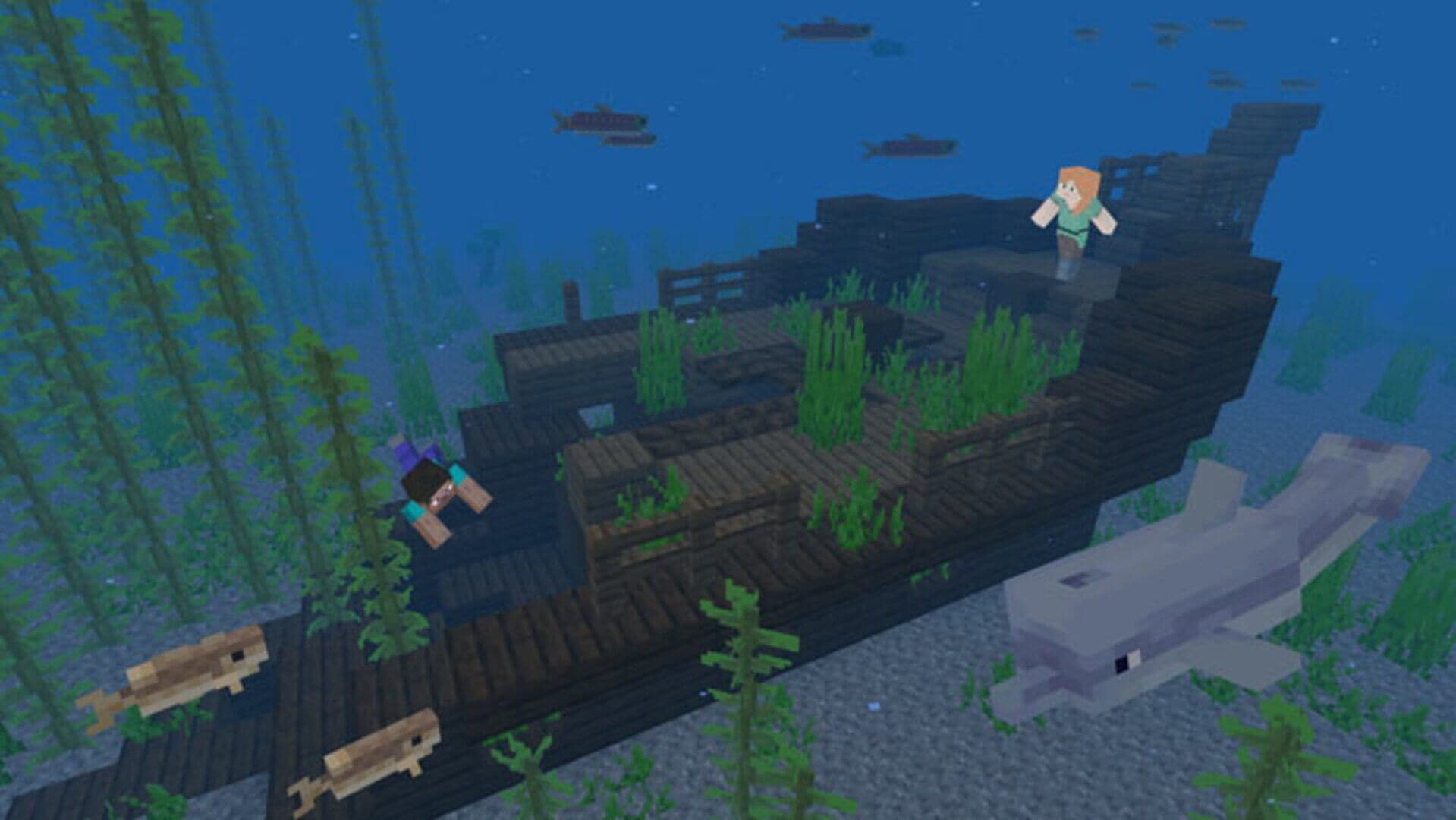 1750424410641-gallery-image-3.jpeg
