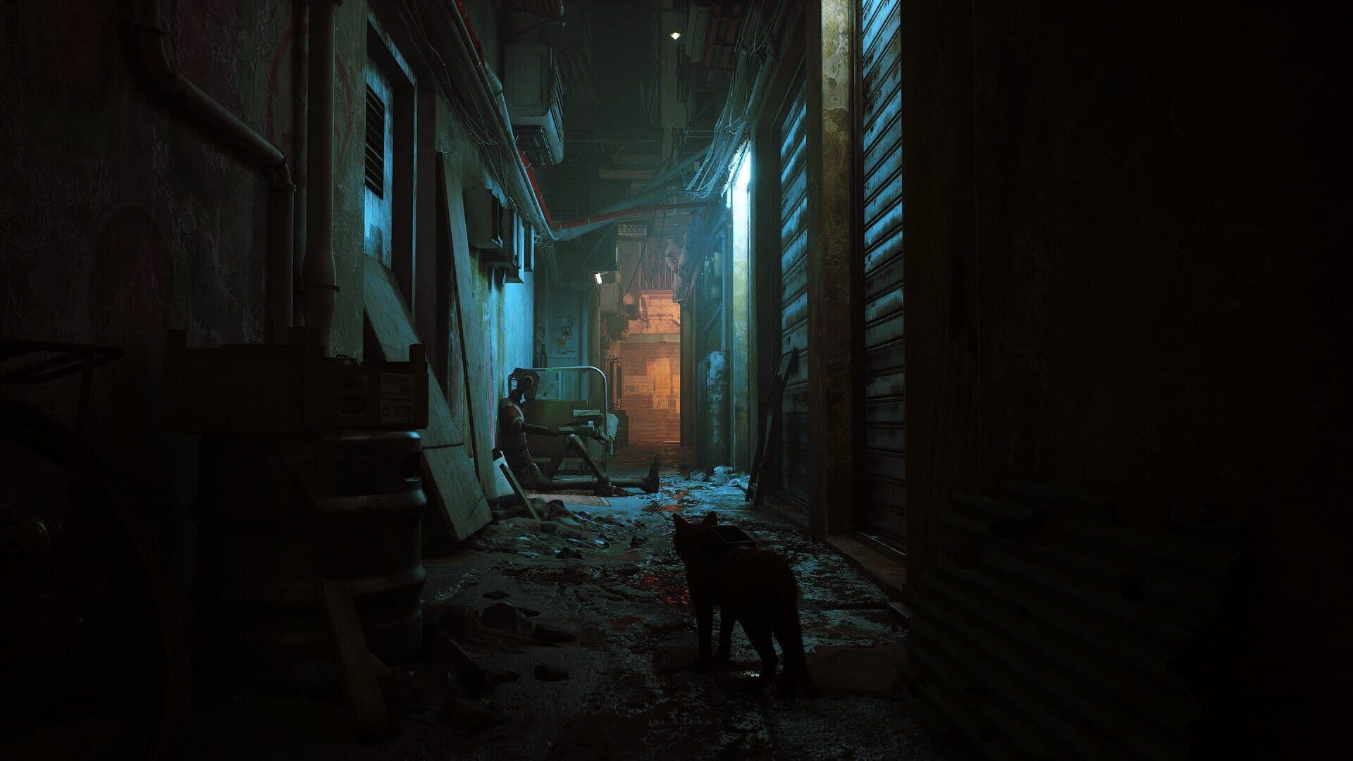 Stray Gameplay