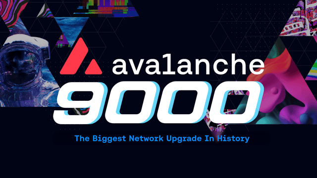 Avalanche9000: Reshaping Blockchain Development