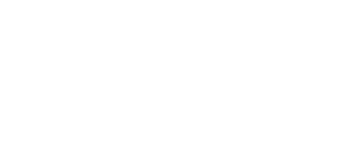 GFC fighter logo.png
