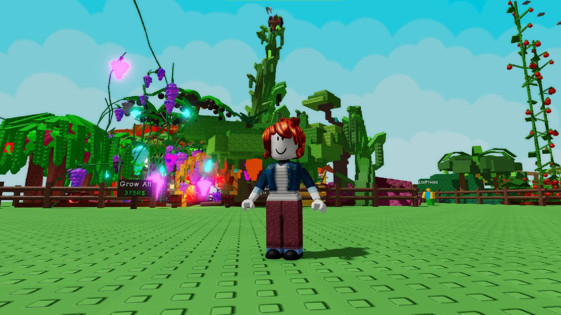 Grow A Garden Game Image 1.jpg