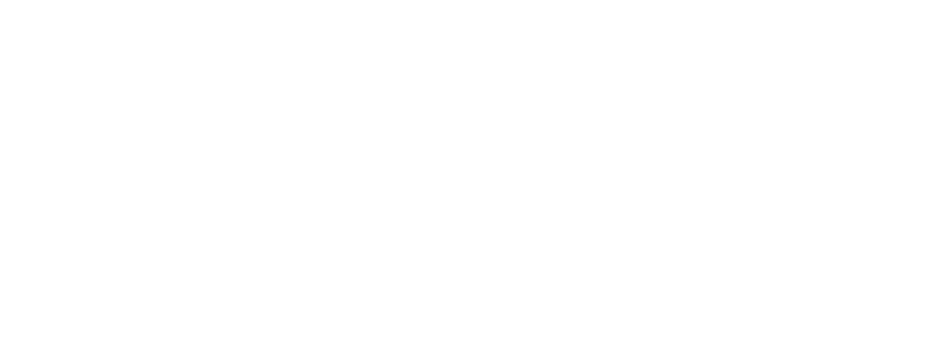 Intraverse Logo.png