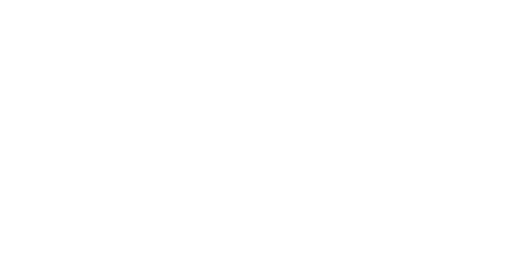 LOGO MRN.png