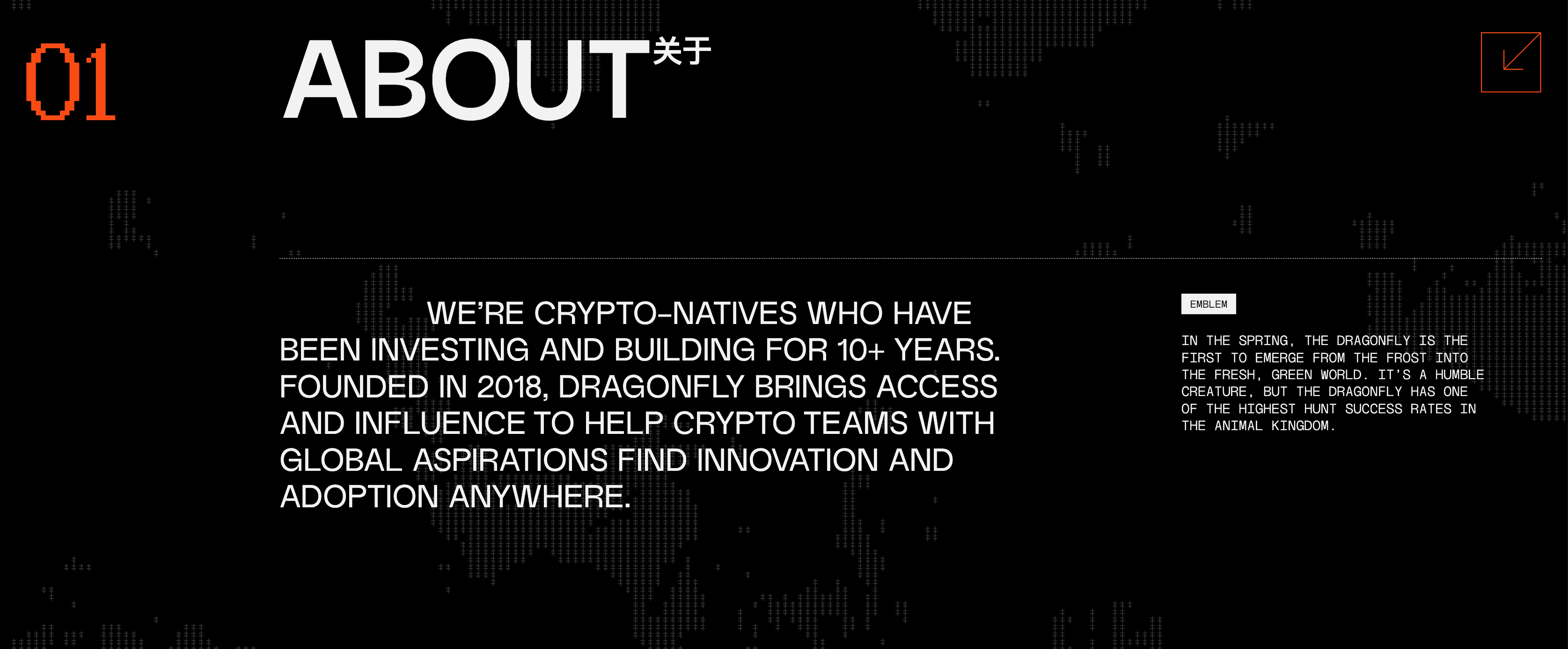 Navigating Investments in Web3: An Interview by Avalanche