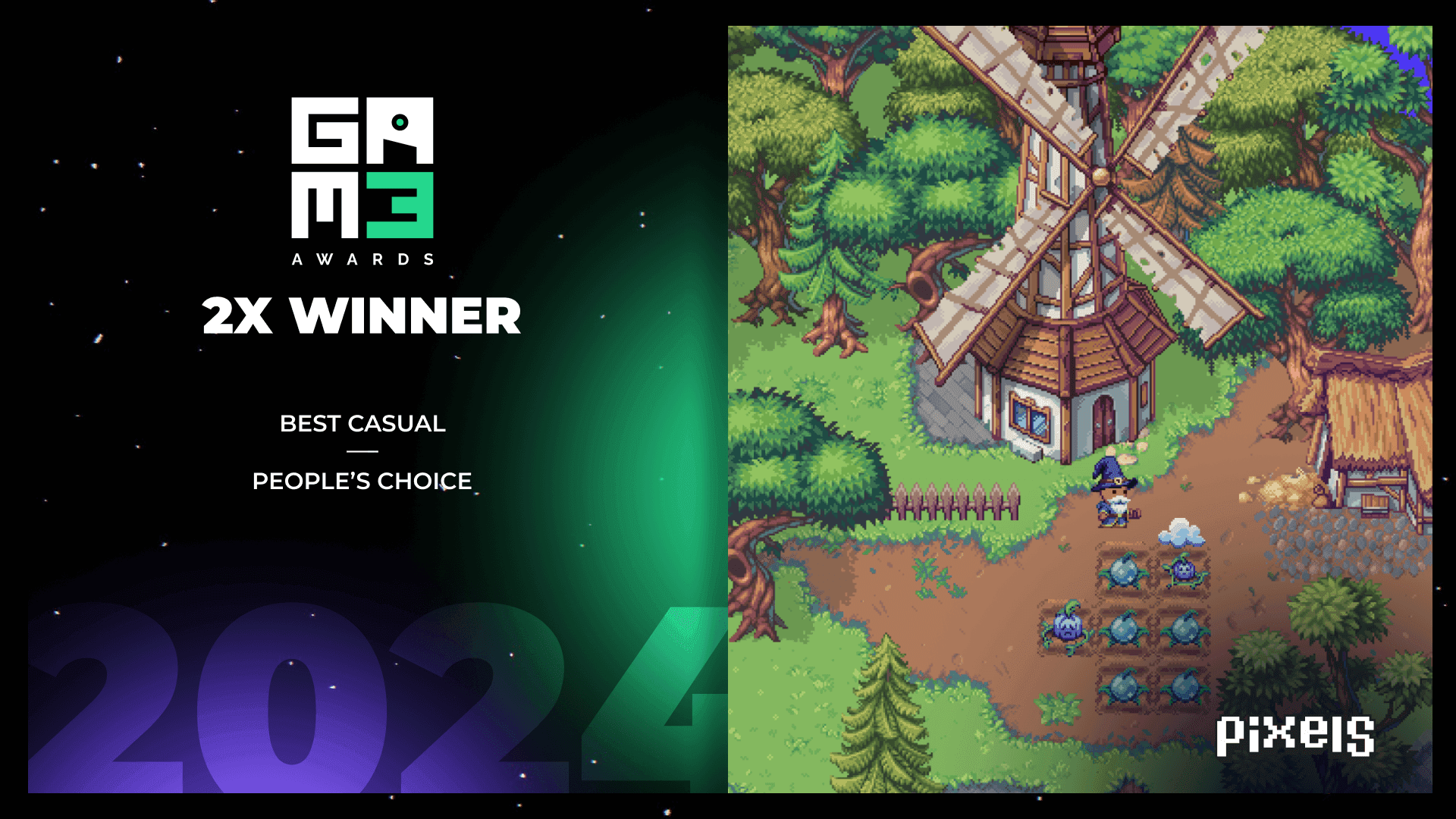 Pixels 2x Winner