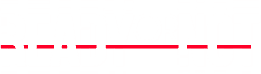 Ready or Not Logo.png