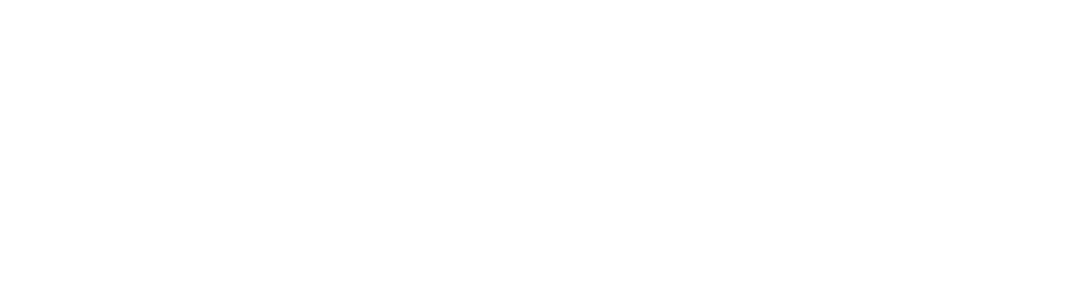 StrayShot logo.png