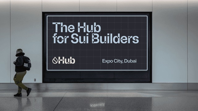 SuiHub Accelerator See Record Breaking Applications