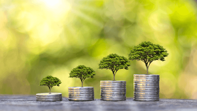 Understanding Risk and Growth in Web3