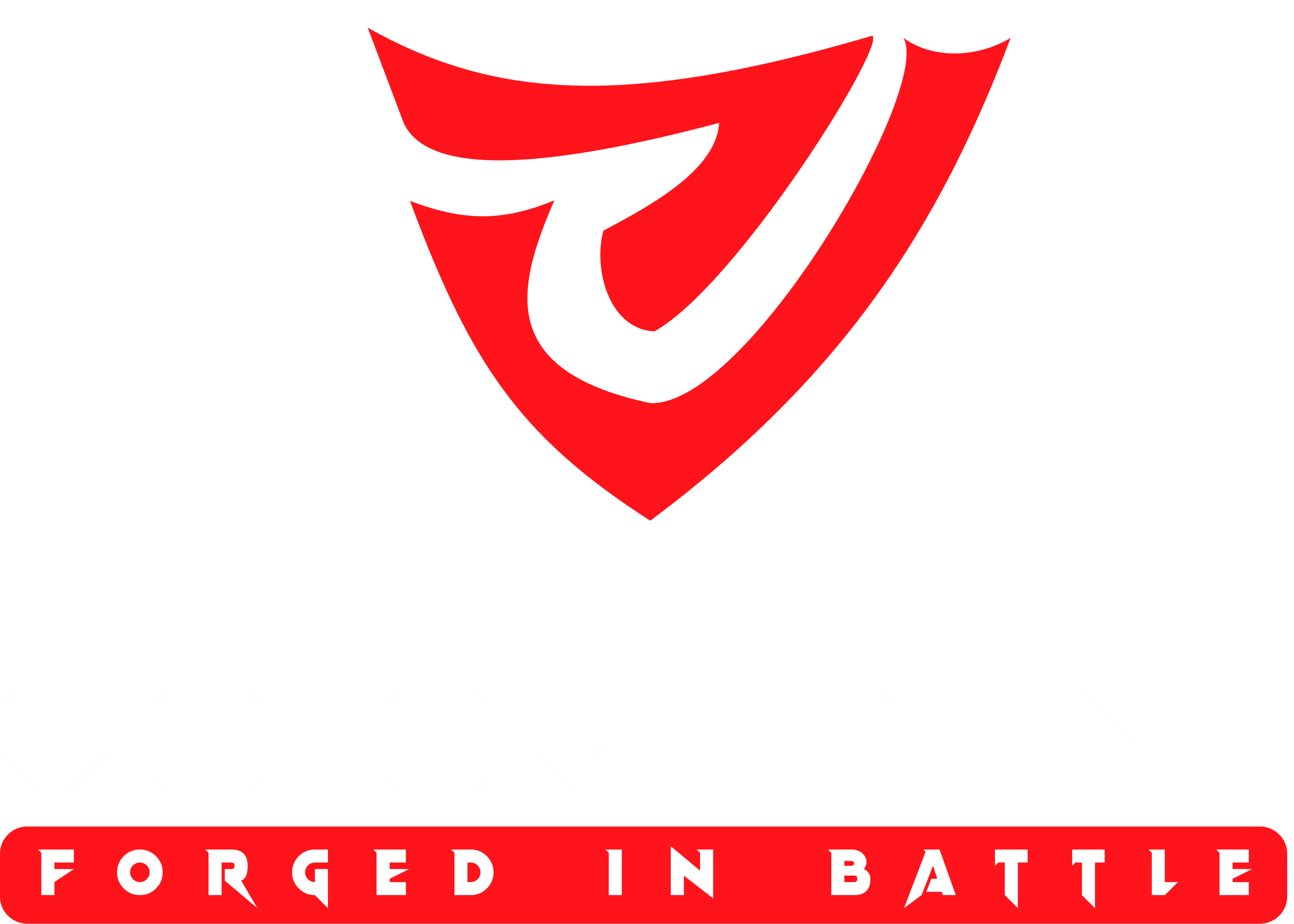Victory Point logo.png