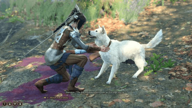 What Makes a Dog Game Worth Playing?
