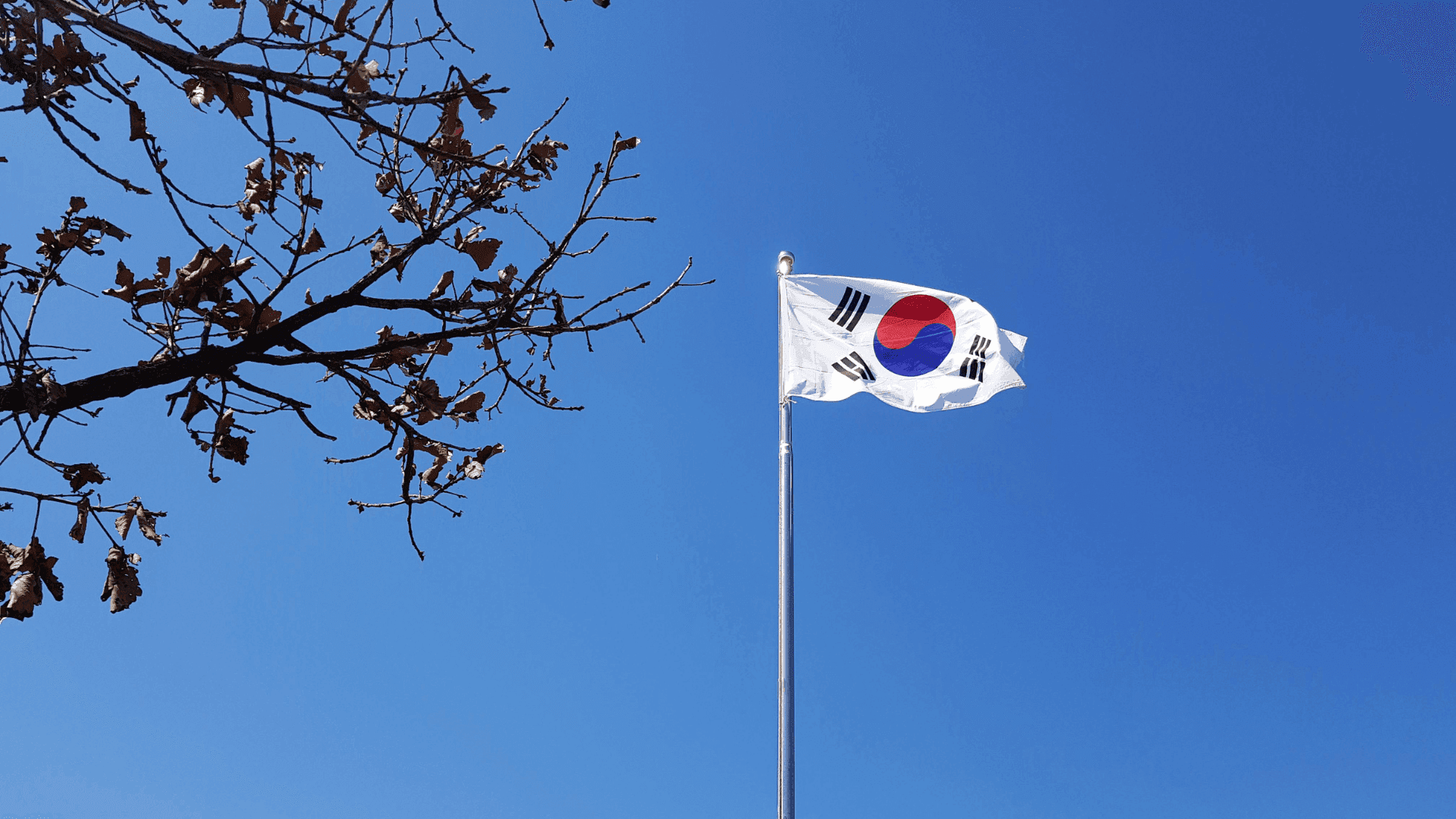 Why Web3 Matters in the Korean Gaming Scene