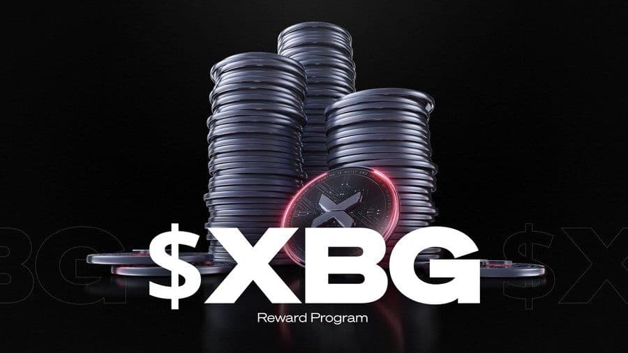 XBorg Addresses Project Direction