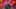 borderlands 4 moxxi.webp