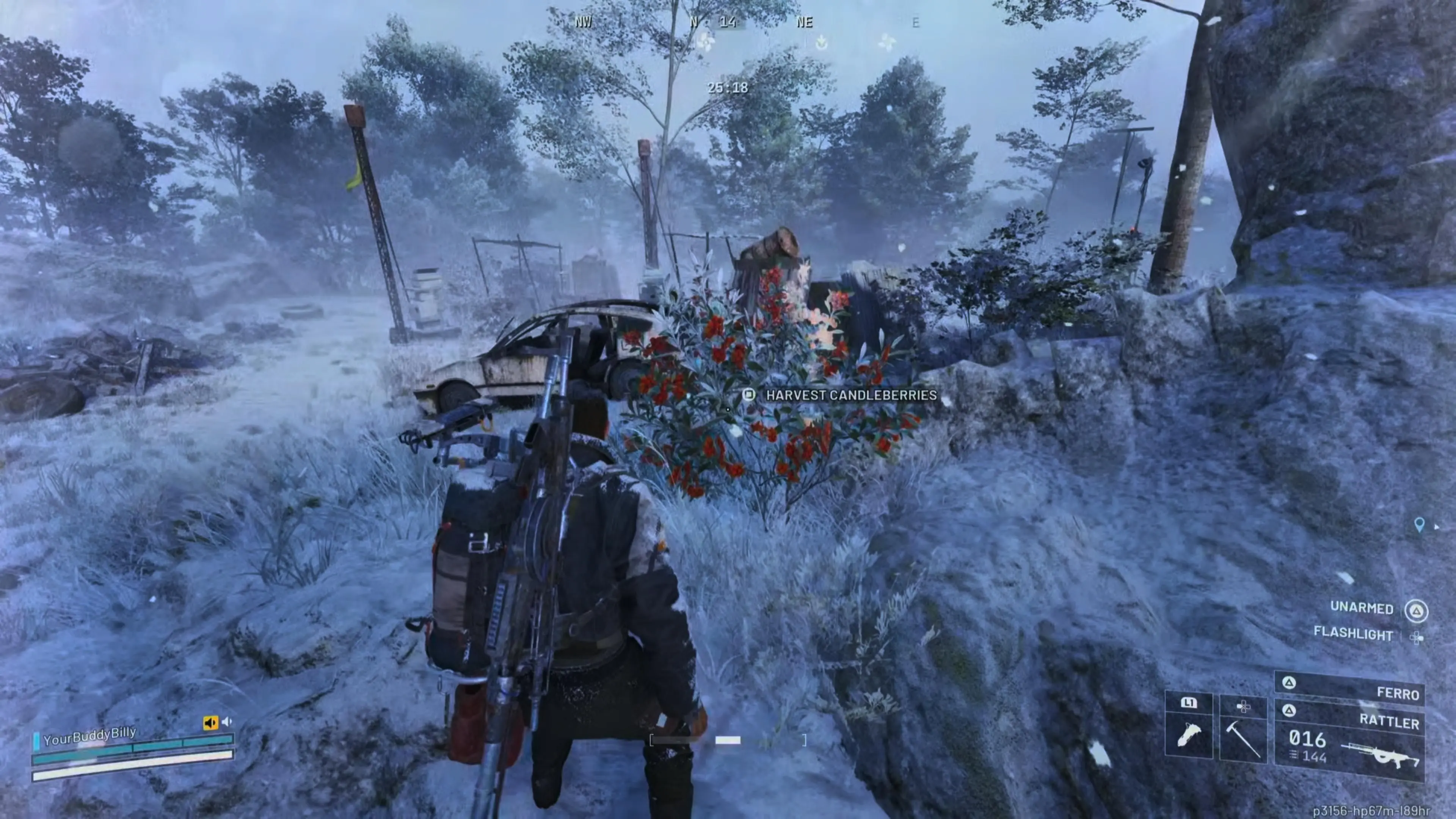 Candleberries In Arc Raiders ...