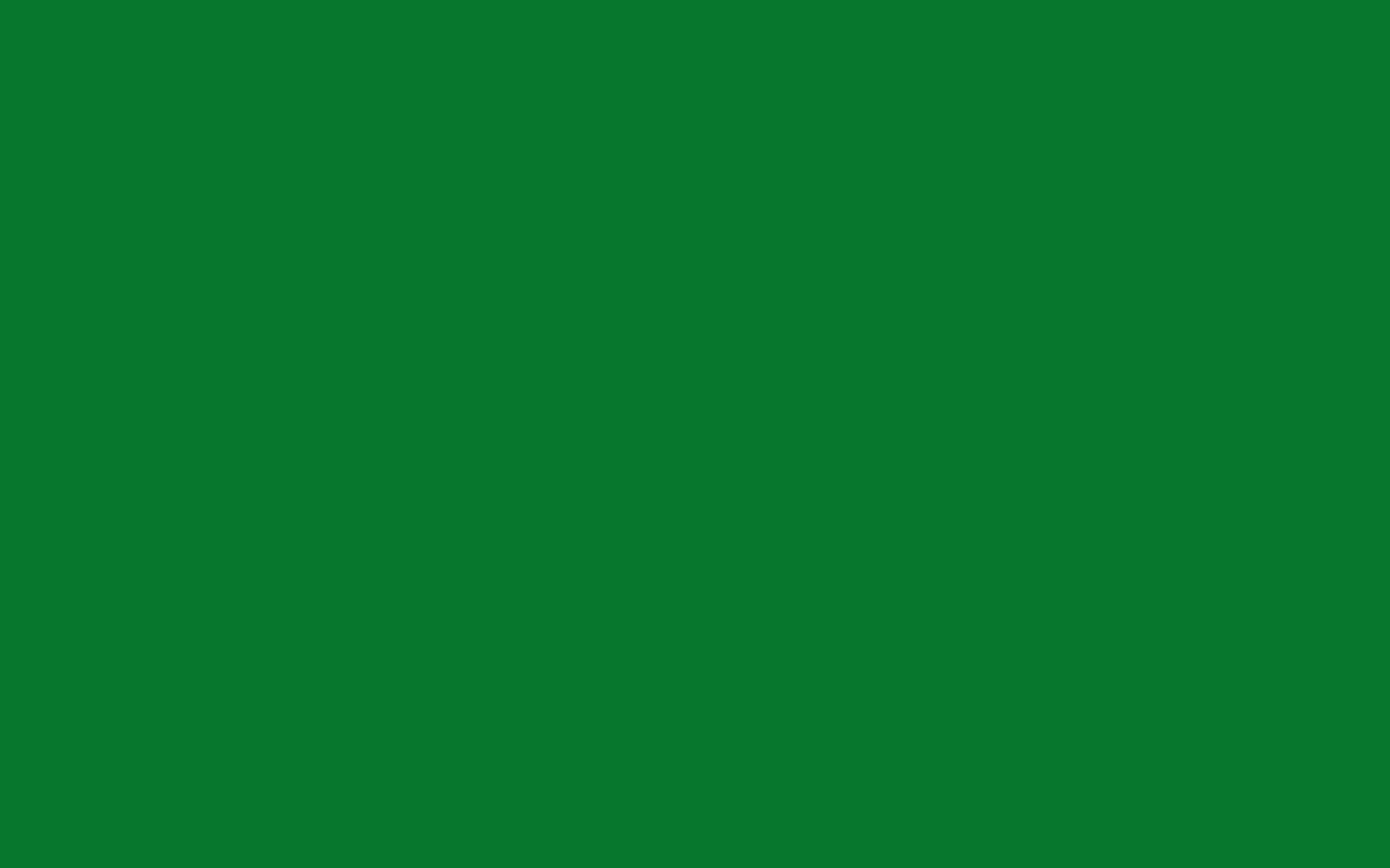 green background.jpg