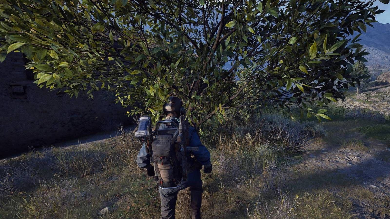 Lemons And Apricots In Arc Raiders