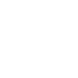 The Lost Glitches