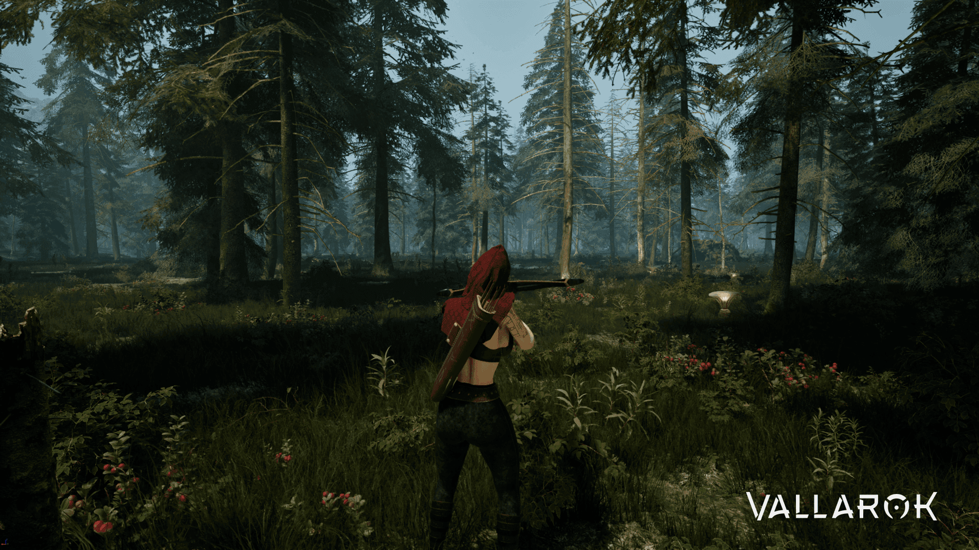 vallarok game image 5.png