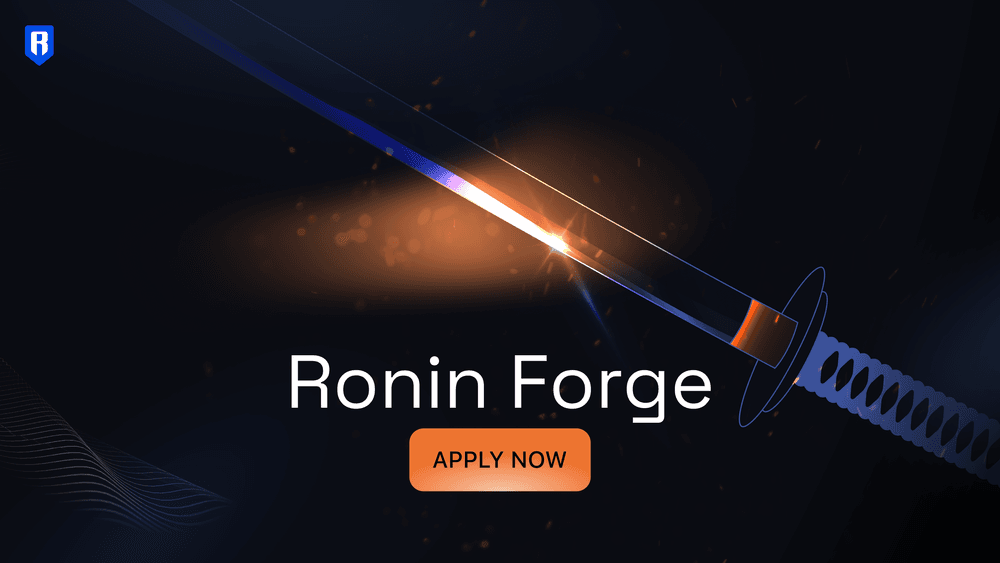 Ronin Network's Mid-Year Review for 2024