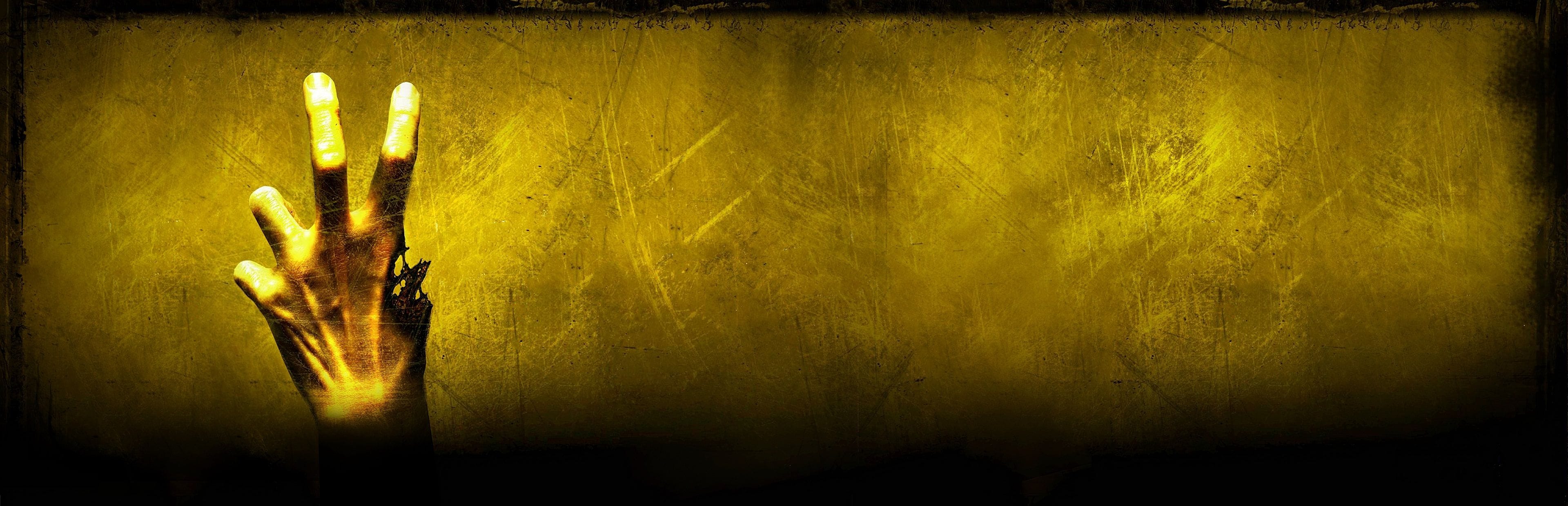 1748478835413-left-4-dead-2-banner.jpeg