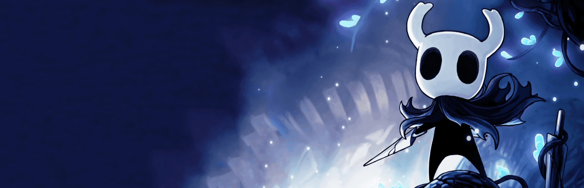 1748480933185-hollow-knight-banner.png