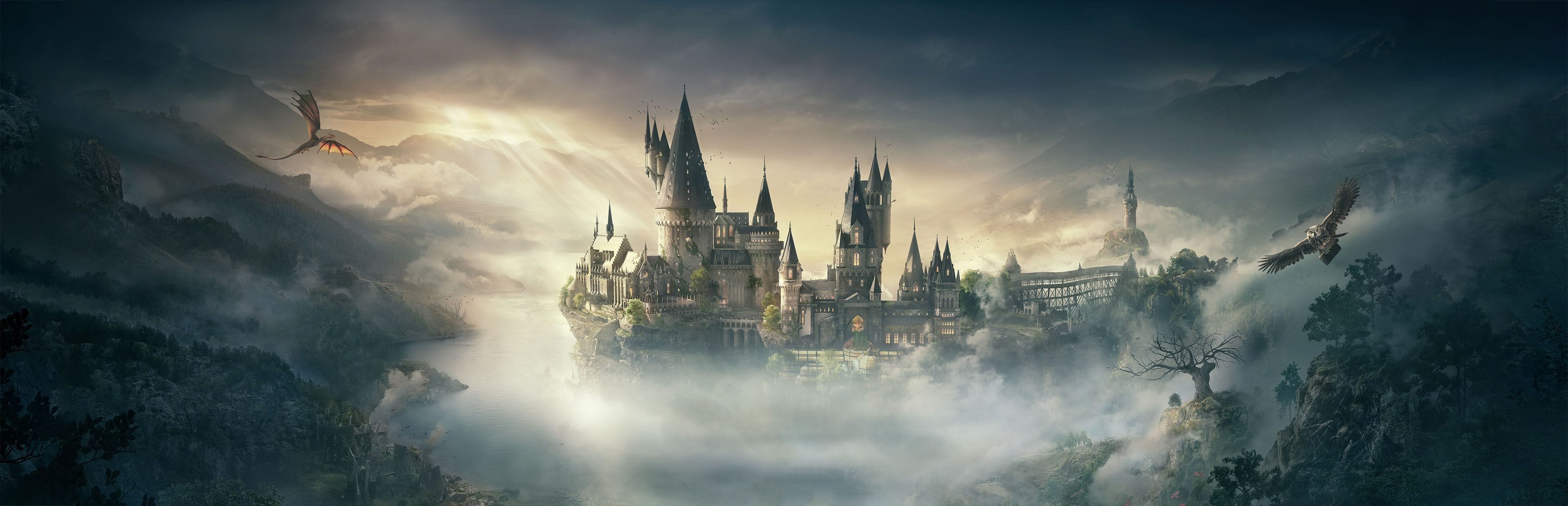 Hogwarts Legacy Meta Image