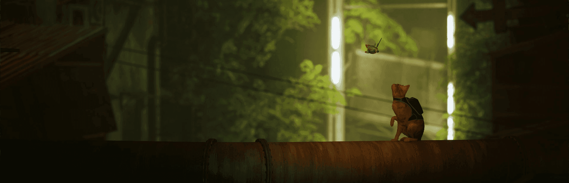 Stray Banner