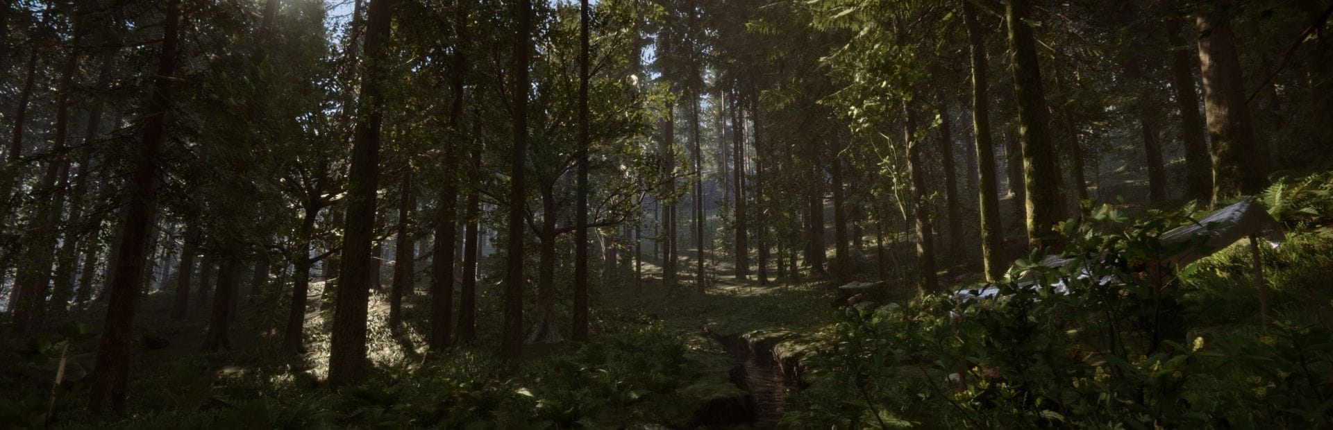 Sons Of The Forest Banner