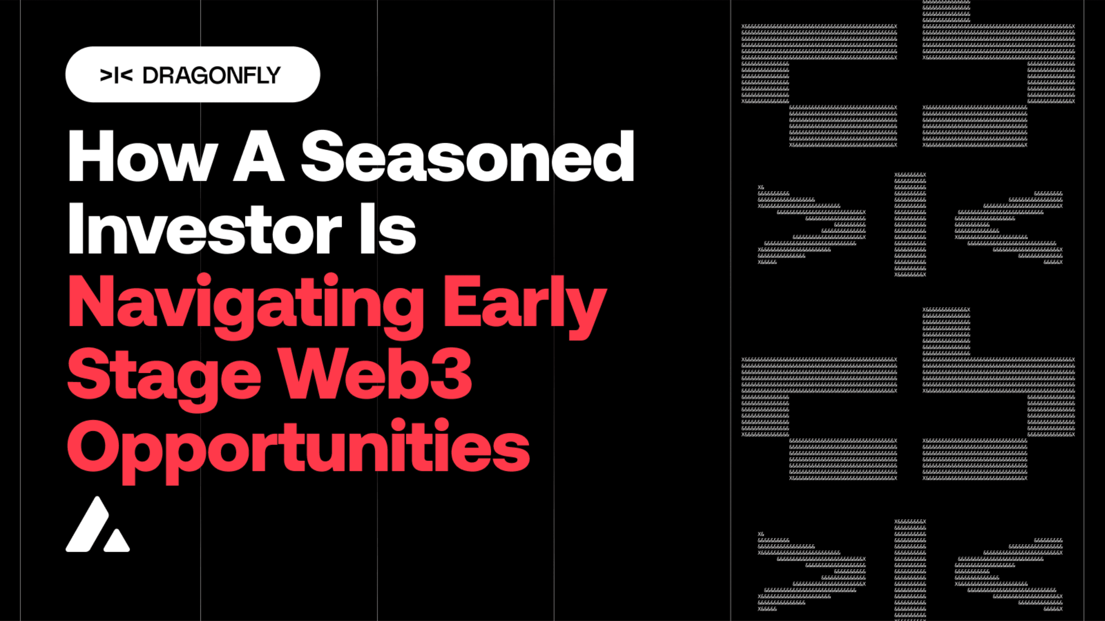 Navigating Investments in Web3: An Interview by Avalanche