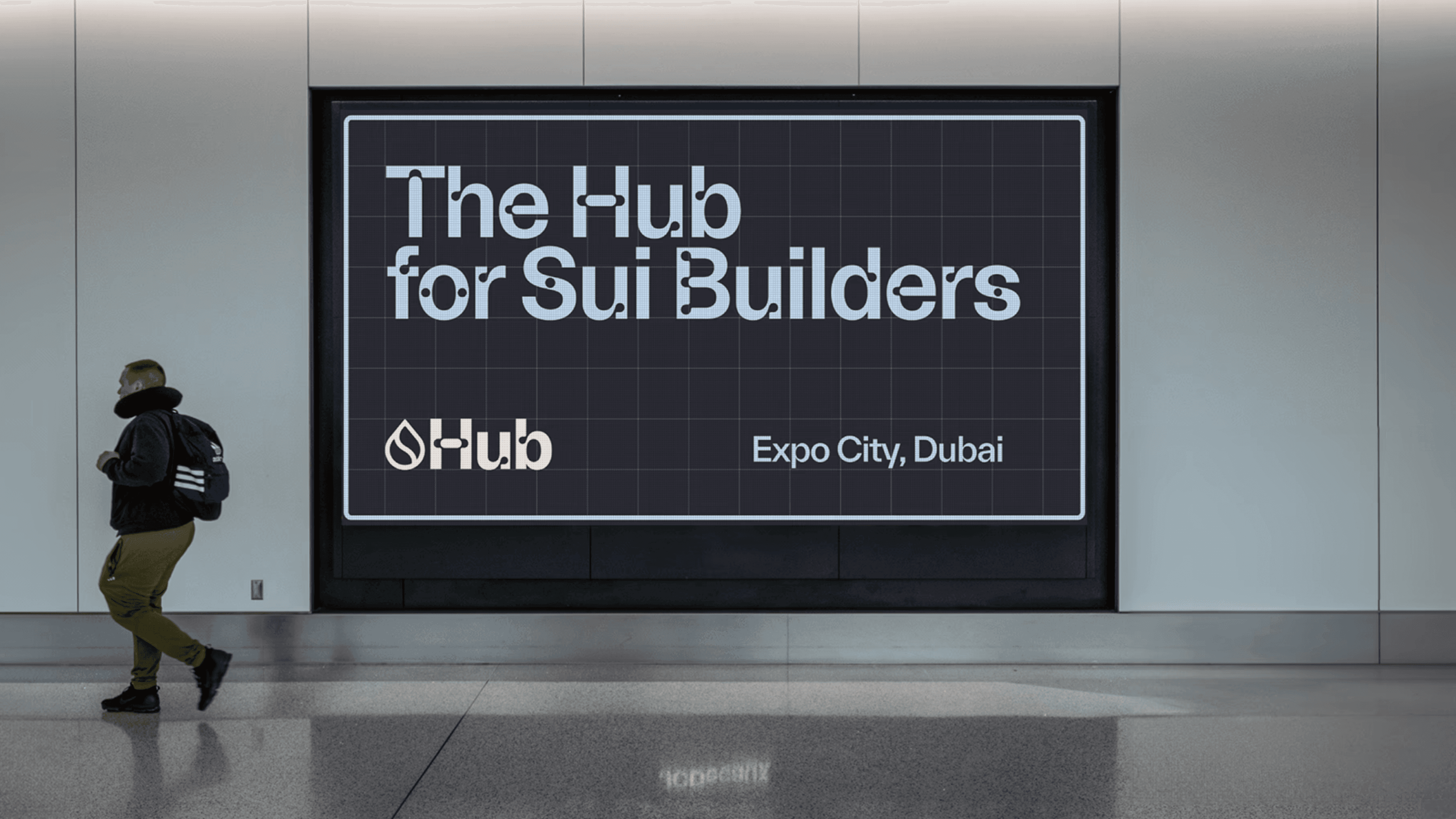 SuiHub Accelerator See Record Breaking Applications