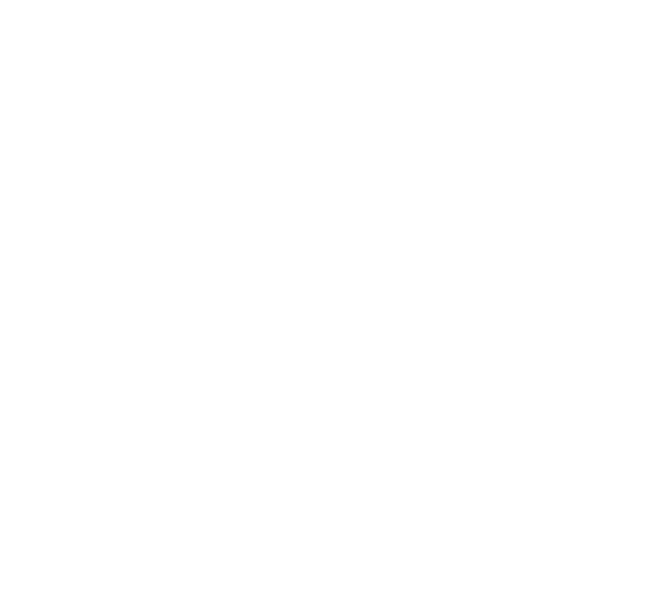 SKALE_logo.png
