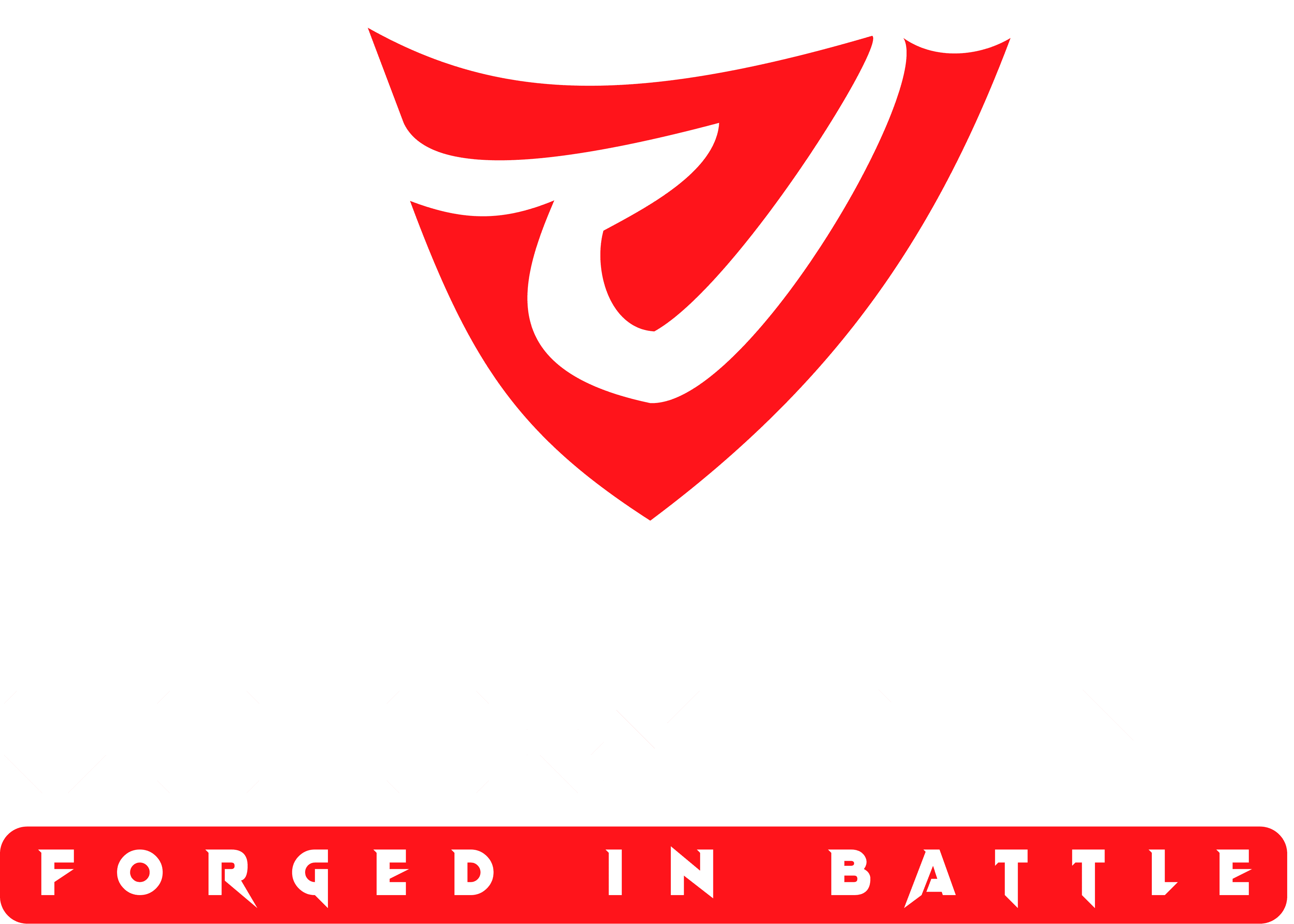Victory Point logo.png