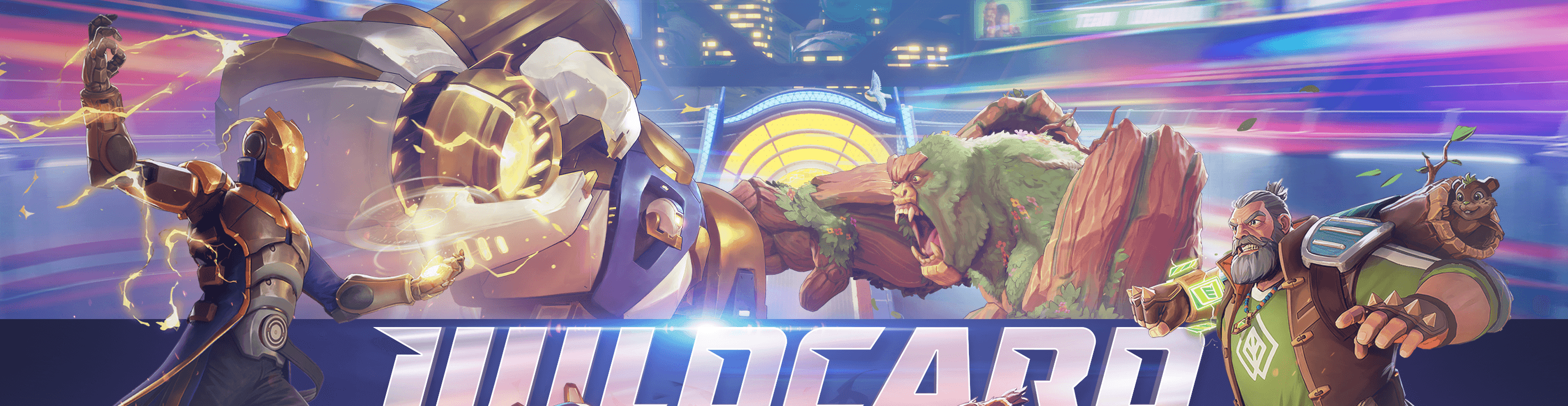 Wildcard banner 1 (2).png