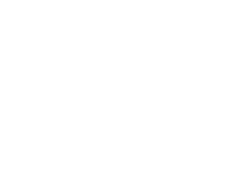 infinite fleet logo white.png