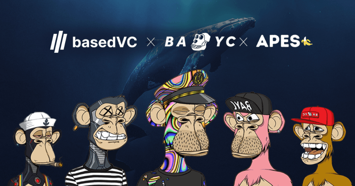BasedVC and Bored Ape Yacht Club Launch Apes Capital
