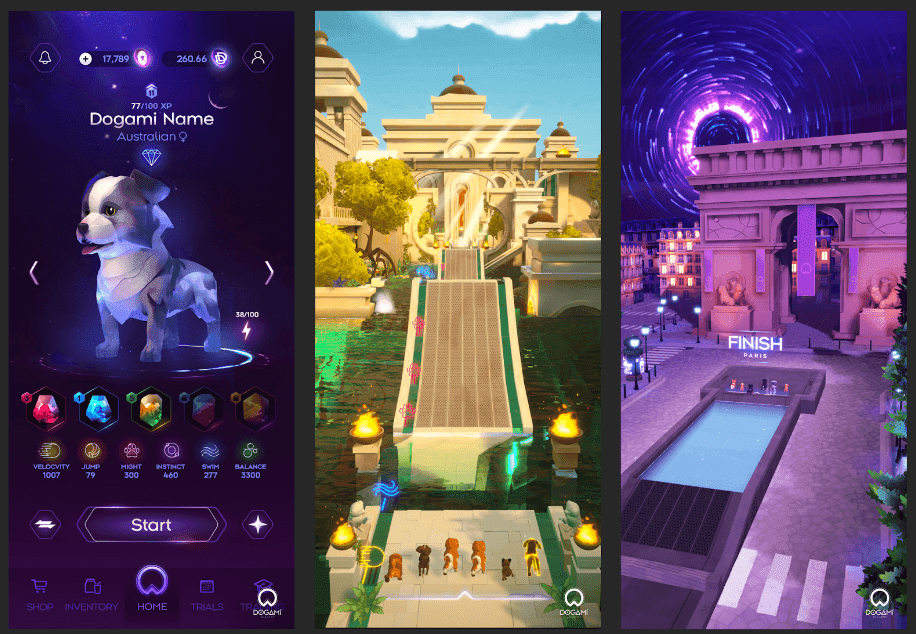 DOGAMÍ Academy Launches on Android and iOS App Stores