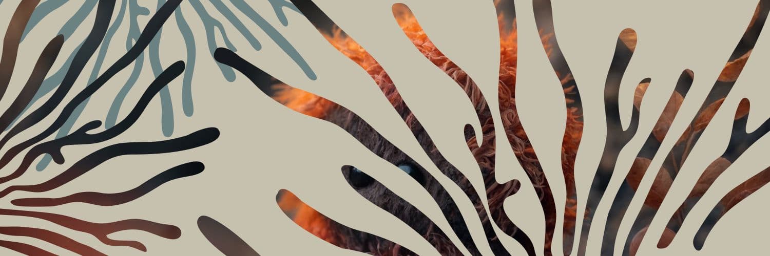 Munchables Gaming Platform Loses Over $60 Million in Exploit