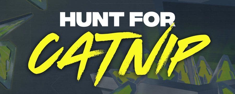 Nyan Heroes Season 2 Hunt for Catnip Exclusive