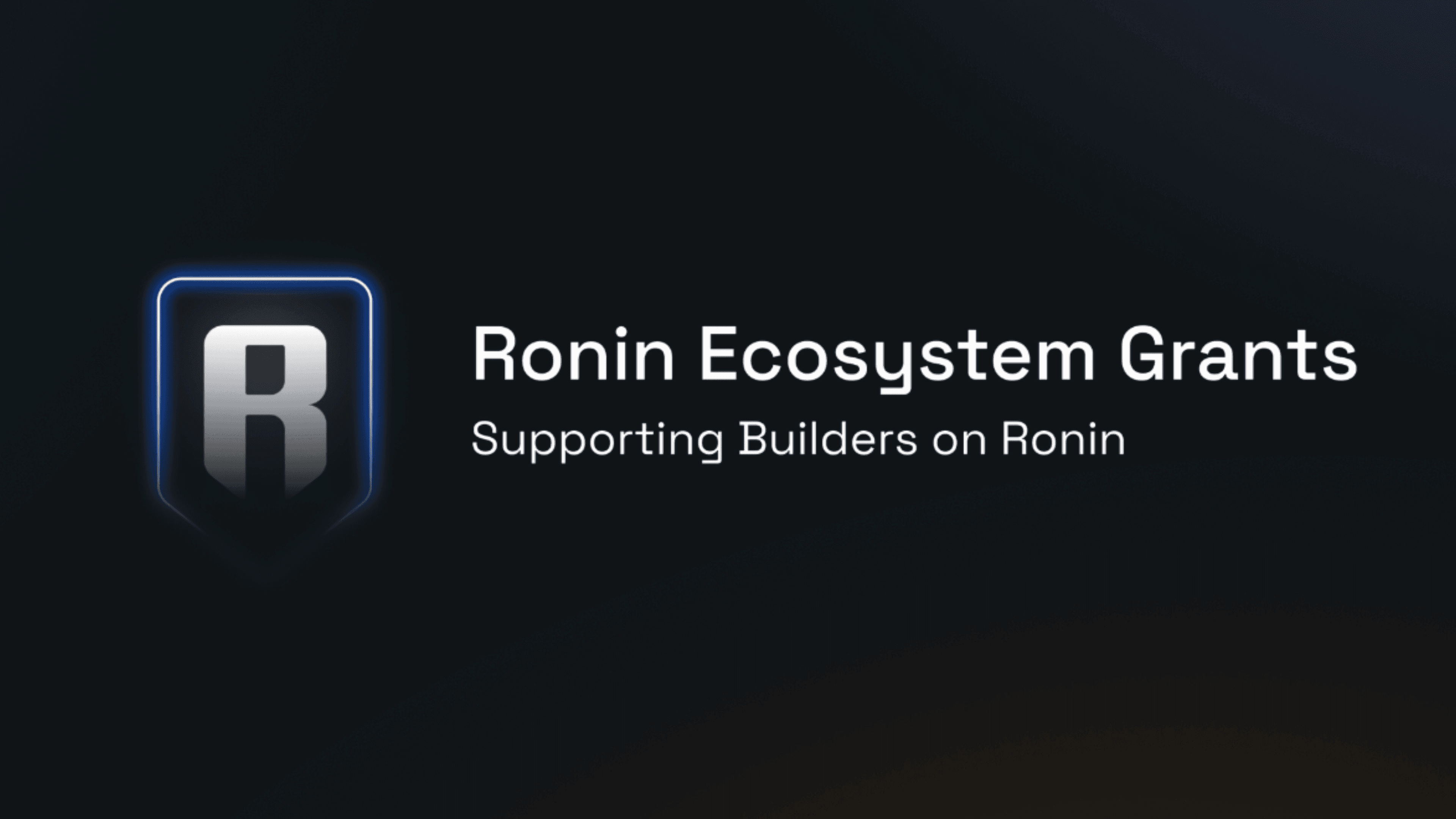 Ronin Ecosystem Grants: $10 Million to Support Blockchain Builders image