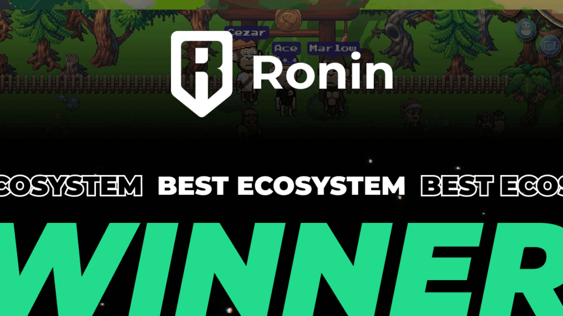 Ronin Wins Best Ecosystem image