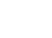 infinite fleet logo white.png