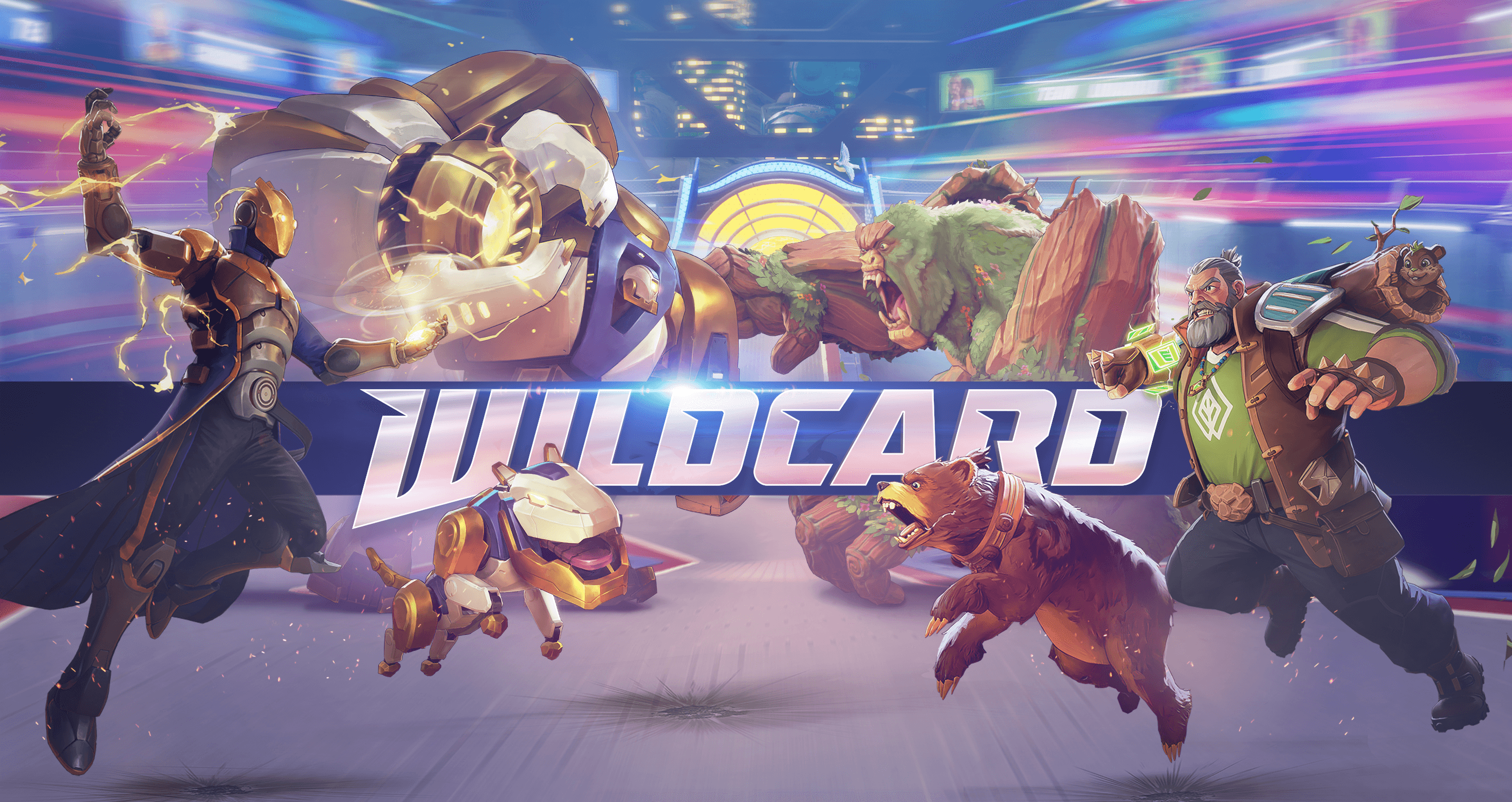 Wildcard banner 1.png
