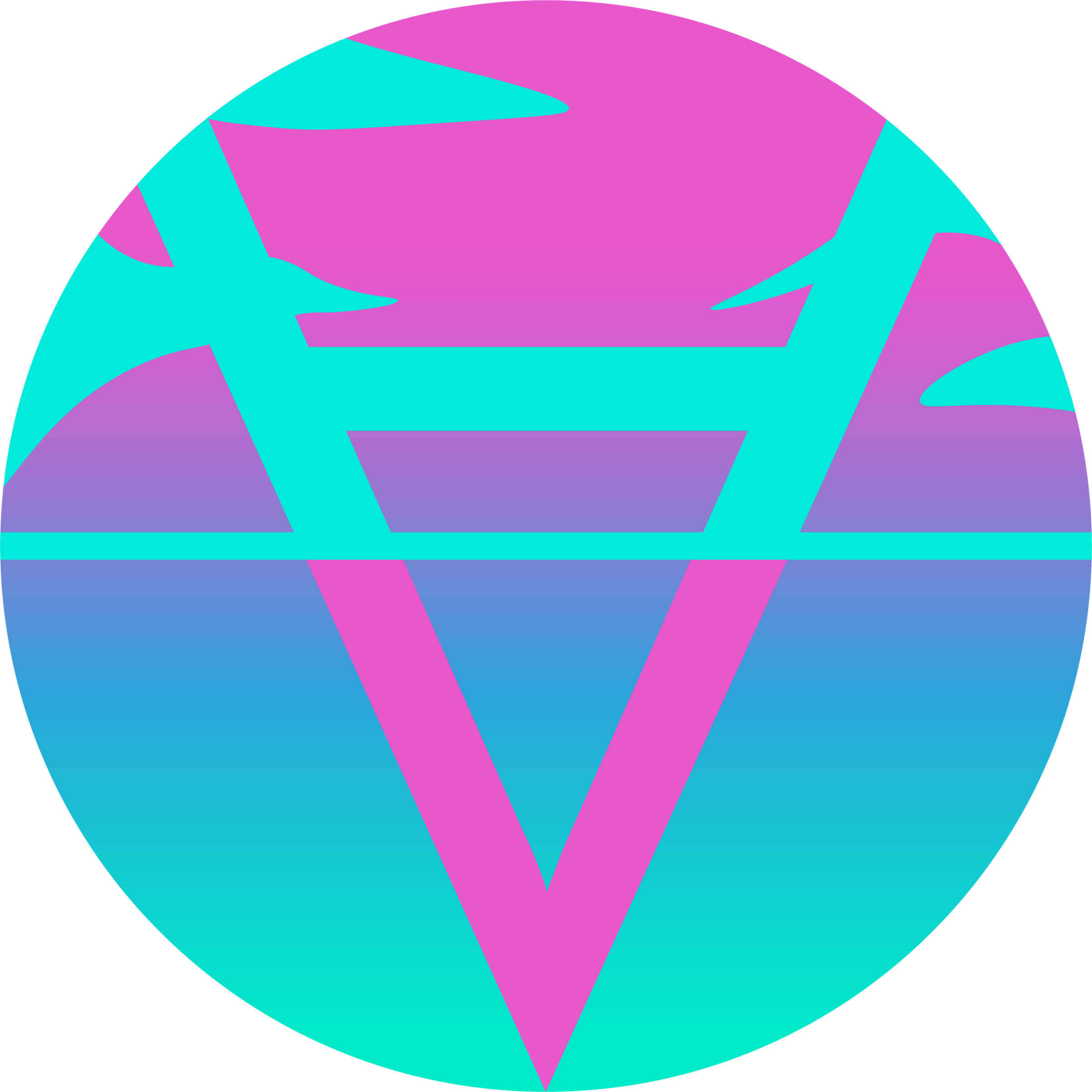 aurory logo.png