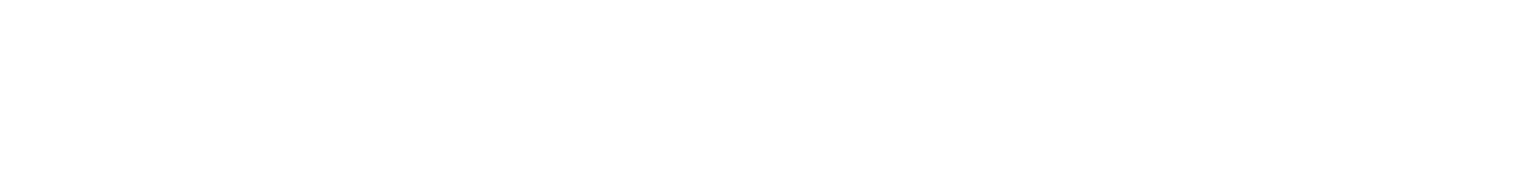 evaverse logo.png